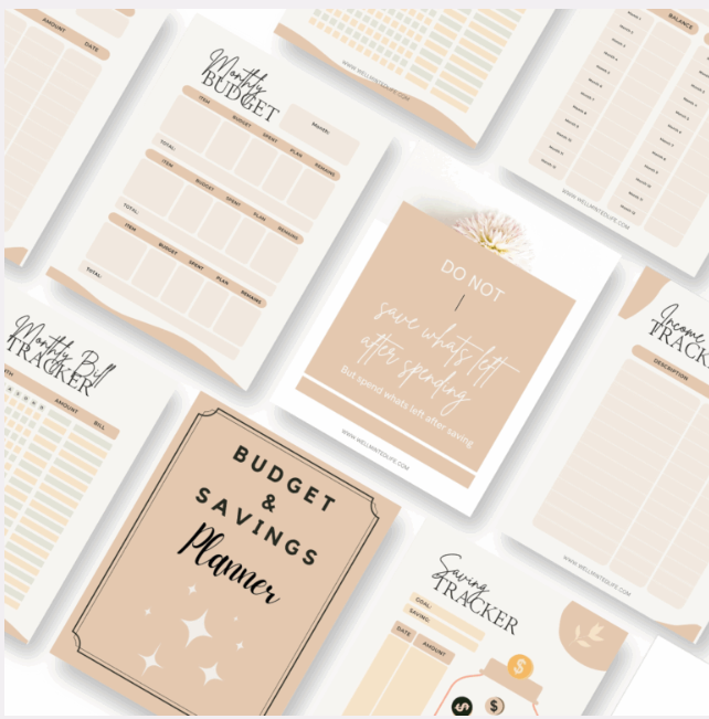 Budget and Savings Planner